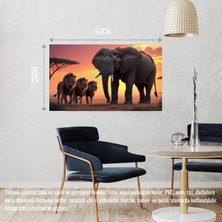 Fil ve Aslanlar Vahşi Doğada 03 Çerçevesiz 50X30 cm Pvc Tablo