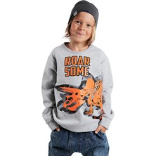 Roar Erkek Çocuk Gri Sweatshirt
