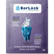 Borlock Lavanta Tarlaları Kokulu Koku Giderici 25G x 15 Adet