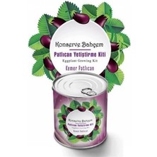 Konserve Bahçem Evde Konservede  Kemer Patlıcanyetiştirme Kiti