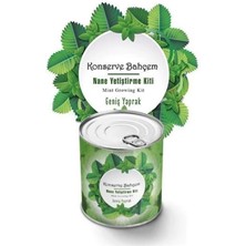 Konserve Bahçem Nane Yetiştirme Kiti