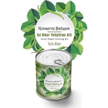 Konserve Bahçem Evde Konservede Tatlı Sivri Biber Yetiştirme Kiti