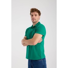 Erkek Polo Yaka Tişört