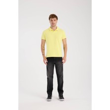 Erkek Polo Yaka Tişört