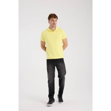 Erkek Polo Yaka Tişört