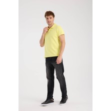 Erkek Polo Yaka Tişört