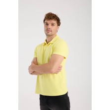 Erkek Polo Yaka Tişört
