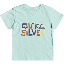 Quiksilver Bigger Picture Boy Erkek Çocuk Renkli Tişört