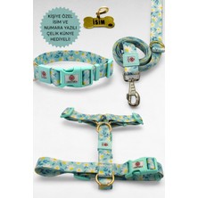 Caramelos Köpek Tasma Seti Kişiye Özel Isimli Tasma, H Tipi Tasma ,gövde+Gezdirme Tasması, Köpek Künye