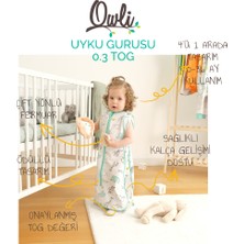 Owli Uyku Gurusu 0.3 Tog Zoo Zoo 0-36 Ay