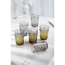 HNG Akrilik Füme 6'lı Kısa Bardak & Su Meşrubat Kahve Yanı Bardağı 400 ml ( Cam Değildir )