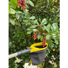 Ritar MTJ-101 Akrobatik Meyve Toplama ve 3 Metre Uzatma Aparatı (Saplı)