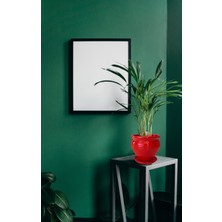 Evdek Tabaklı Klasik Kırmızı Çömlek Saksı 19X19 cm