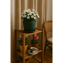 Evdek Tabaklı Haki Yeşil Çömlek Saksı 19X19 cm