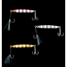 Ryujı Sılent Jıg Trıo, Zebra Mıx (3 Ad) 15 gr