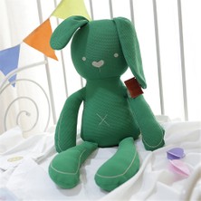 Graceful Gatherings 50CM Yatıştırıcı Kulak Tavşan Peluş Oyuncak Uyku Bez Tavşan (Yurt Dışından)
