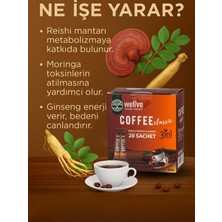 Welıve Kahve 3in1 Reshi & Moringa & Gınseng 20 Adet