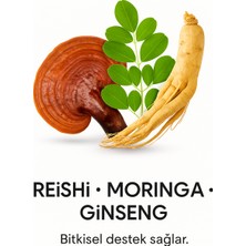 Welıve Kahve 3in1 Reshi & Moringa & Gınseng 20 Adet