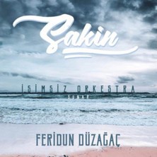 Feridun Düzağaç - Sakin (Lp, Plak, Album)