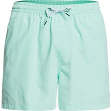 Quiksilver Everyday 15 Jamv Erkek Volley Short