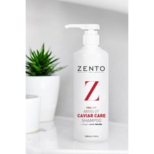 Zento Havyar Bakım Şampuanı