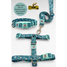 Caramelos Köpek Tasma Seti Kişiye Özel Isimli Tasma, H Tipi Tasma ,gövde Boyun Gezdirme Tasması, Köpek Künye