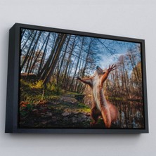 Siyah Çerçeveli Sincap Dekoratif Kanvas Tablo