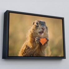 Siyah Çerçeveli Şaşkın Sincap Dekoratif Kanvas Tablo