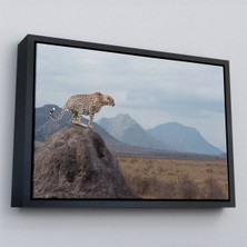 Çerçeveli Leopar Dekoratif Kanvas Tablo -1127