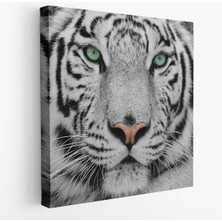 Kaplan Dekoratif Kanvas TABLO-5807