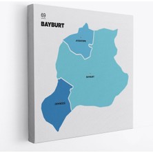Bayburt Ili ve Ilçeler Haritası Dekoratif Kanvas Tablo 1290