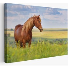 At ve Manzaralı Dekoratif Kanvas Tablo 1131