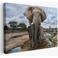 Fil ve Yavruları Dekoratif Kanvas Tablo 1134