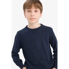 DeFacto Bisiklet Yaka Triko Kazak Erkek Çocuk A4992A825WN