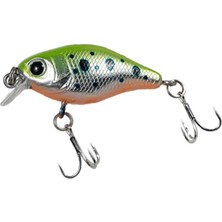 Ryuji Fatboy 3,8cm 4gr Maket Yem Renk : Trout Uv