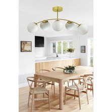 Veronika Modern Globe Kapalı Camlı 5li Avize