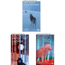 Modern Klasikler 3'lü (Ateş Yakmak-Vahşetin Çağrısı-Iyi Köpekler Kötü Köpekler ve Kuzey Toprakları)