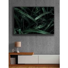 Çerçevesiz Kendinden Yapışkanlı Tablo Görünümlü Duvar Posteri Çerçevesiz Çıtasız