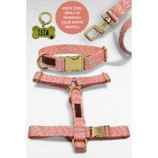 Caramelos Köpek Tasması- Köpek Tasma Seti- Isimli Köpek Tasma Metal Kilit 1