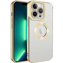 Apple iPhone 11 Pro Kılıf Kamera Korumalı Logo Gösteren Effx Omega Kapak-Gold
