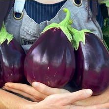 Geleneksel Doğal Kızartmalık Yemeklik Etli Topan Dilimli Patlıcan Tohumu (70 Tohum)