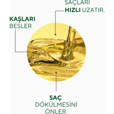 Dökülen ve Asiri Yipranmis Saclar Icin Biotin Özlü Saç Bakımyağı 50 ml