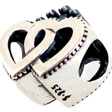 Keskin Gümüş 925 Ayar Gümüş Prenses Kafes Tasarım  Pan Uyumlu Kadın Charm Doğum Günü Hediye 1