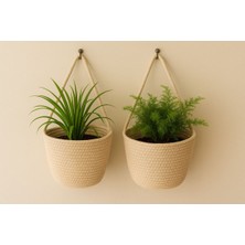 Dekoratif 2'li Duvar Sepeti, Çok Amaçlı Organizer, Ekru Renk, Askı ve Bitki Dahil Değildir