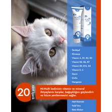 Kedi Multivitamin Malt Macunu 100 GR ”Mi-Multi Paste”