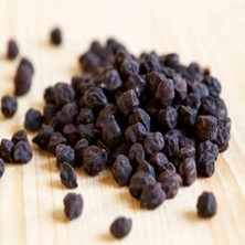 Doğal Siyah Nohut Tohumu (10 Tohum)