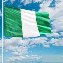 Asilmeydan Nijerya Bayrağı Raşel Kumaş Bayrak 70 x 105 cm