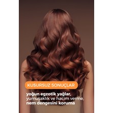 Zento Moroccan Şampuan