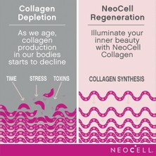 Marine Fish Collagen Hyaluronic Acid Copper Magnesium Zinc Vitamin C B12 B6 Parlak Cilt Kollajen Özel Formil!