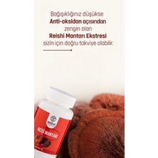 Welive Reişi Mantarı 60 Capsul